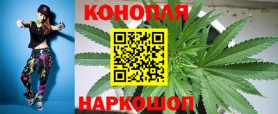 Альфа ПВП Шебекино